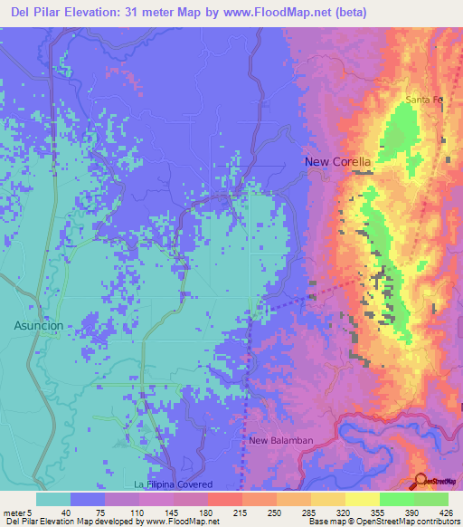 Del Pilar,Philippines Elevation Map