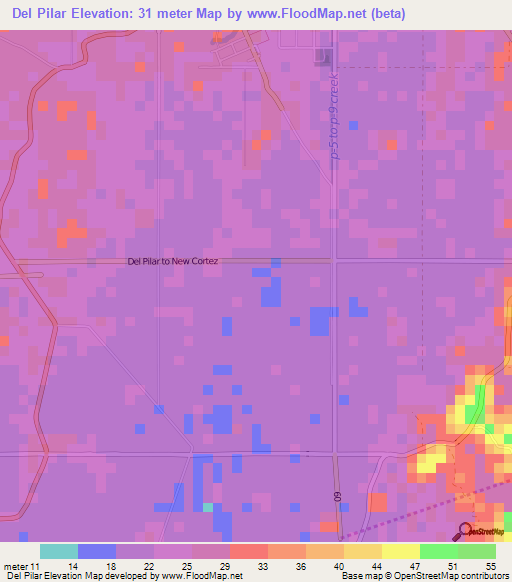 Del Pilar,Philippines Elevation Map