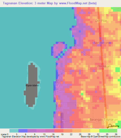 Tagnanan,Philippines Elevation Map