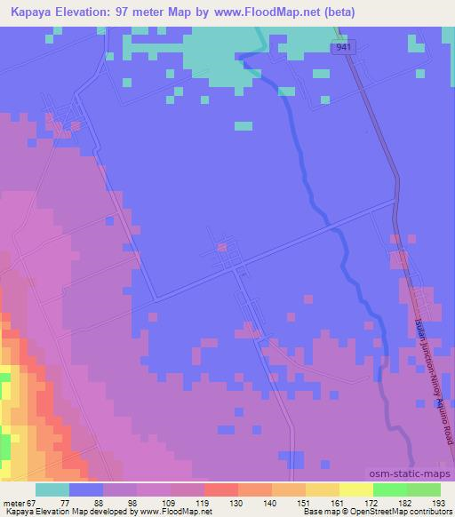 Kapaya,Philippines Elevation Map