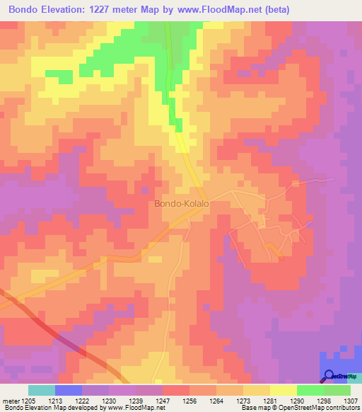 Bondo,Kenya Elevation Map