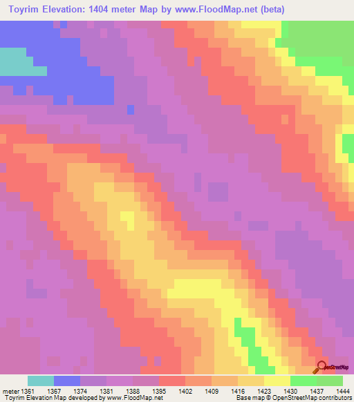 Toyrim,Mongolia Elevation Map