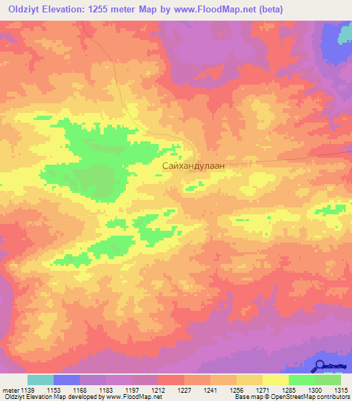 Oldziyt,Mongolia Elevation Map