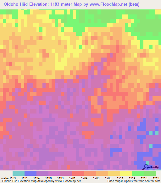 Oldoho Hiid,Mongolia Elevation Map