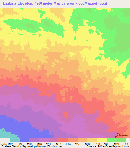 Dzalaata,Mongolia Elevation Map