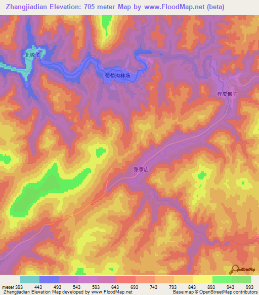 Zhangjiadian,China Elevation Map