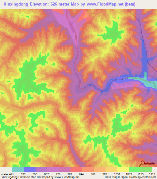 Xinxingdong,China Elevation Map