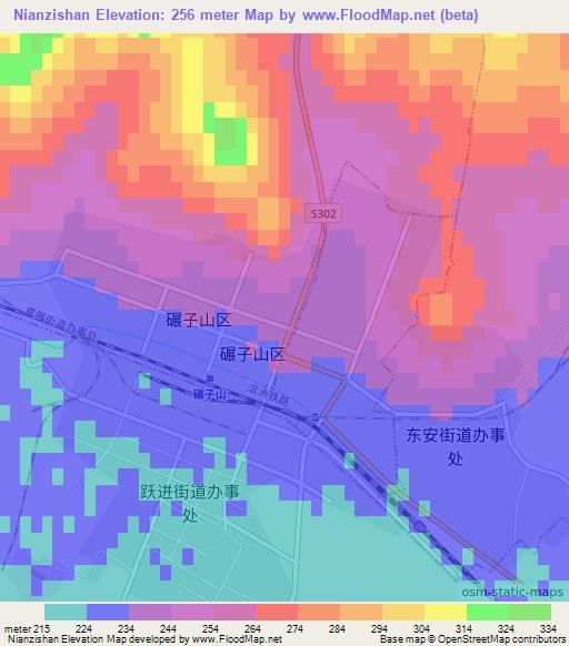Nianzishan,China Elevation Map