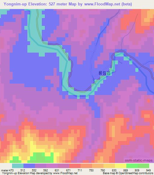 Yongnim-up,North Korea Elevation Map