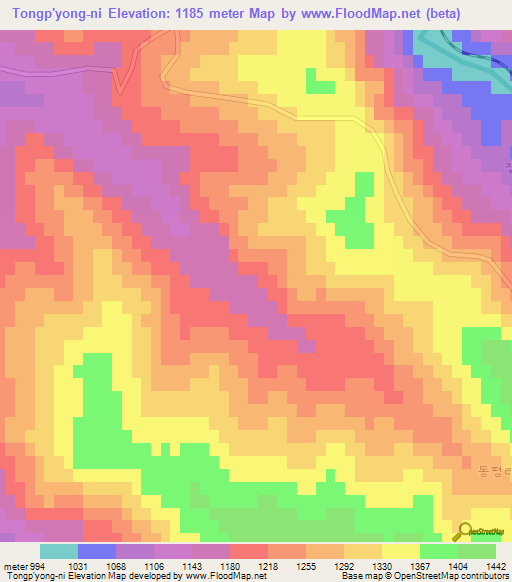 Tongp'yong-ni,North Korea Elevation Map