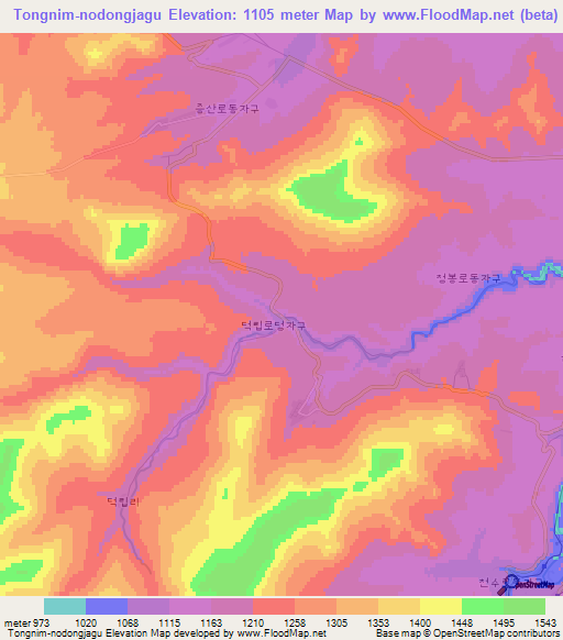 Tongnim-nodongjagu,North Korea Elevation Map
