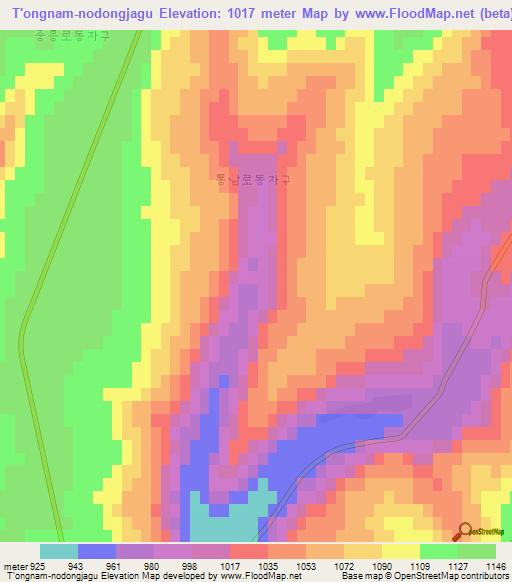T'ongnam-nodongjagu,North Korea Elevation Map