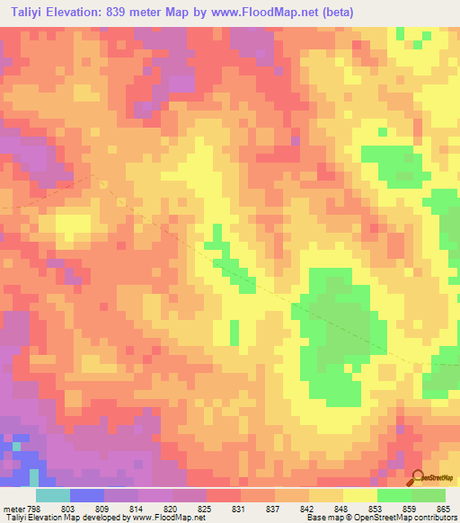 Taliyi,Congo (Kinshasa) Elevation Map