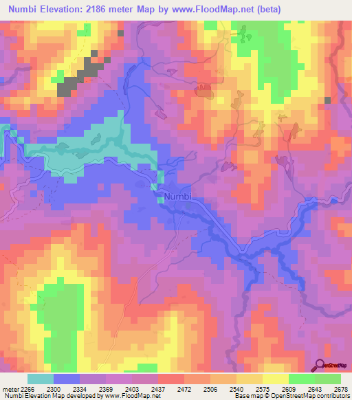 Numbi,Congo (Kinshasa) Elevation Map