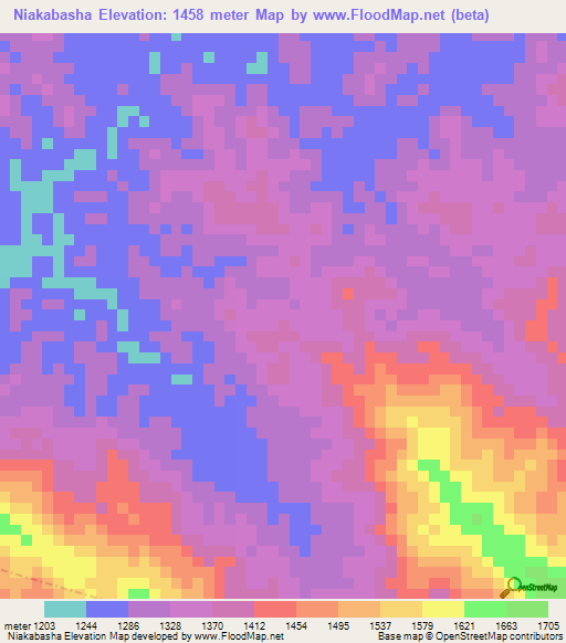 Niakabasha,Congo (Kinshasa) Elevation Map