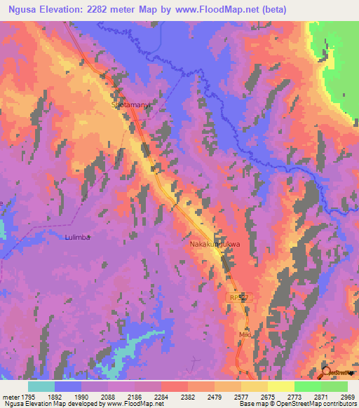Ngusa,Congo (Kinshasa) Elevation Map