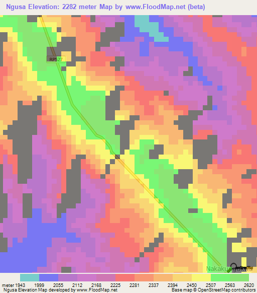 Ngusa,Congo (Kinshasa) Elevation Map