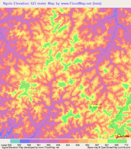 Ngoie,Congo (Kinshasa) Elevation Map