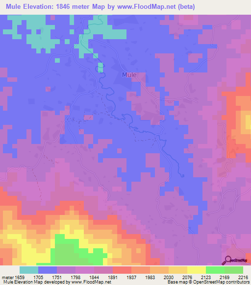 Mule,Congo (Kinshasa) Elevation Map