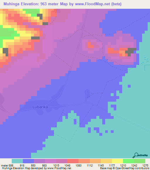Muhinga,Congo (Kinshasa) Elevation Map