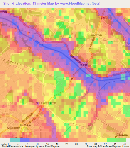 Shojiki,Japan Elevation Map