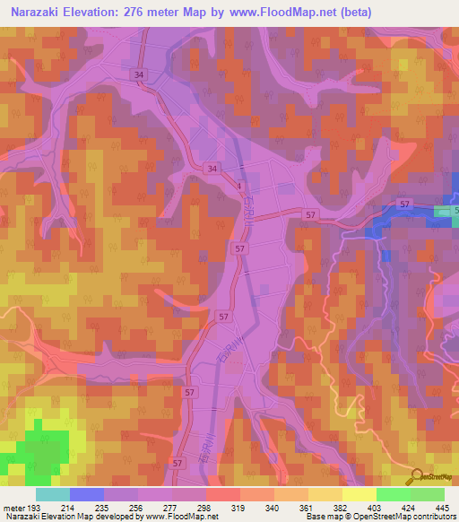 Narazaki,Japan Elevation Map