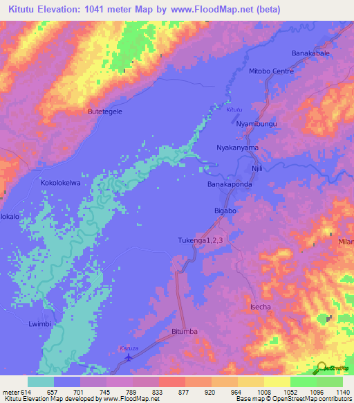 Kitutu,Congo (Kinshasa) Elevation Map