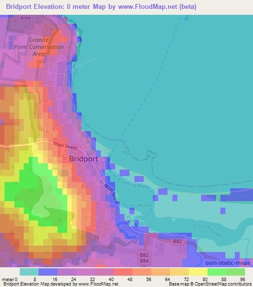 Bridport,Australia Elevation Map