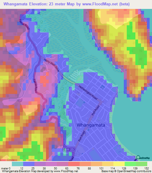 Whangamata,New Zealand Elevation Map
