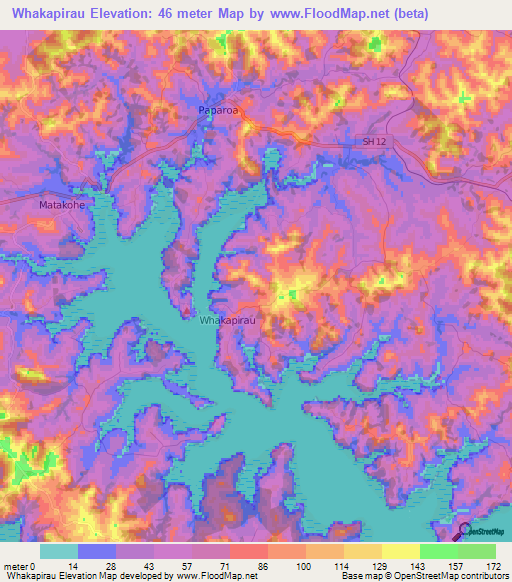 Whakapirau,New Zealand Elevation Map