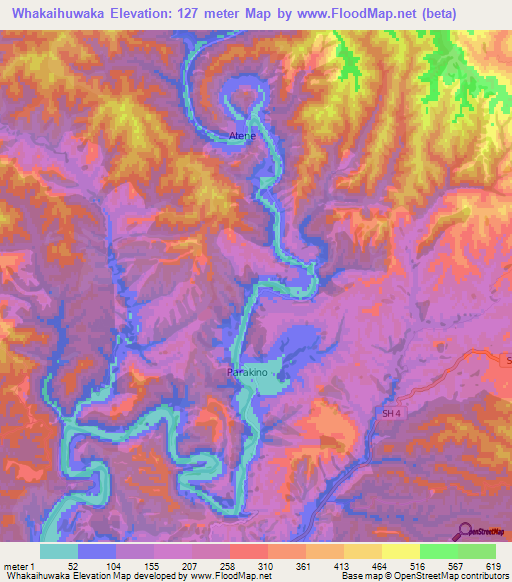 Whakaihuwaka,New Zealand Elevation Map