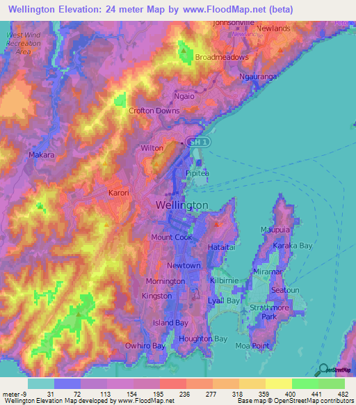 Wellington,New Zealand Elevation Map