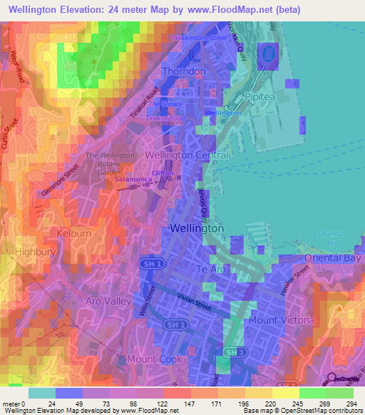 Wellington,New Zealand Elevation Map