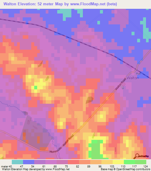 Walton,New Zealand Elevation Map