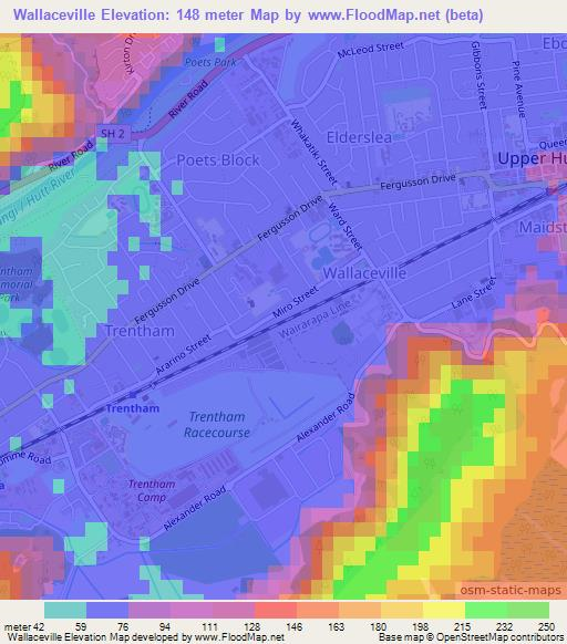 Wallaceville,New Zealand Elevation Map