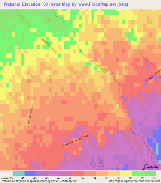Wakanui,New Zealand Elevation Map