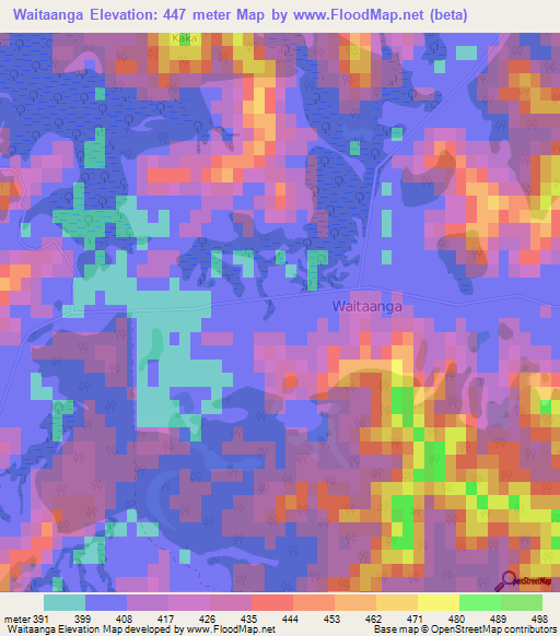 Waitaanga,New Zealand Elevation Map