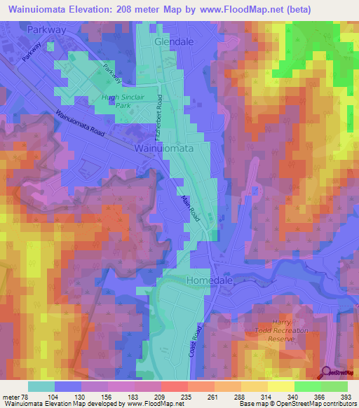 Wainuiomata,New Zealand Elevation Map