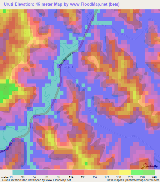 Uruti,New Zealand Elevation Map
