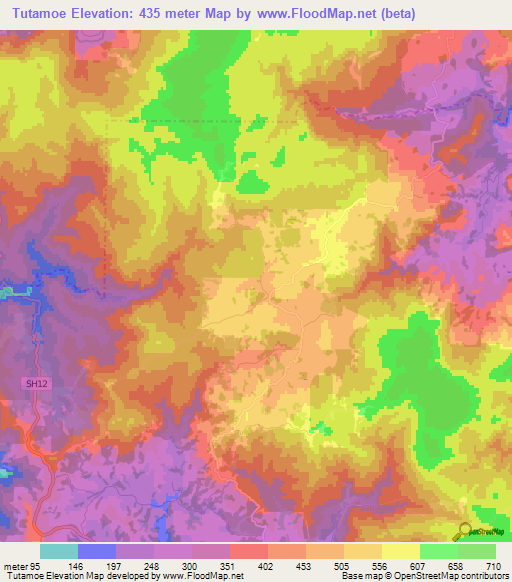 Tutamoe,New Zealand Elevation Map