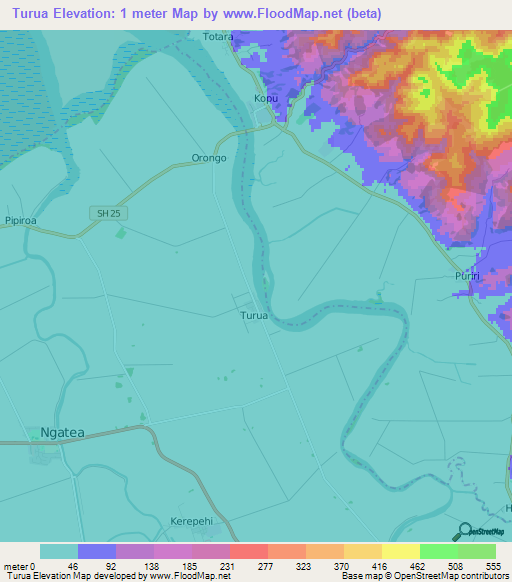 Turua,New Zealand Elevation Map