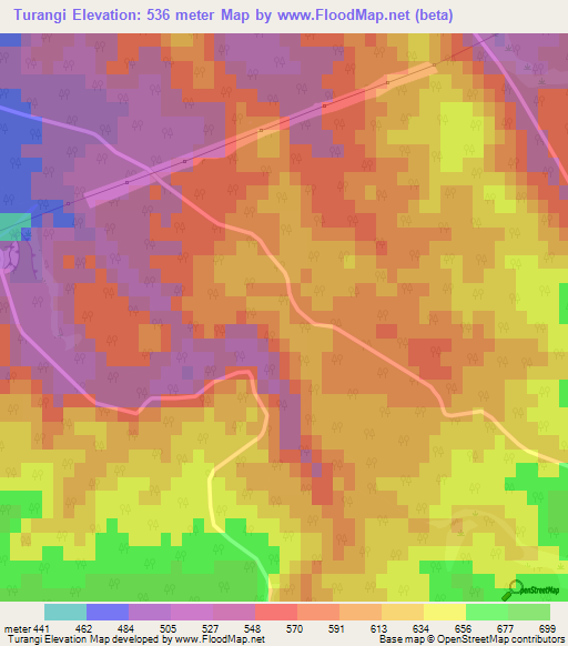 Turangi,New Zealand Elevation Map