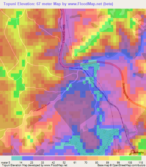 Topuni,New Zealand Elevation Map