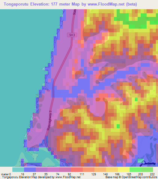 Tongaporutu,New Zealand Elevation Map