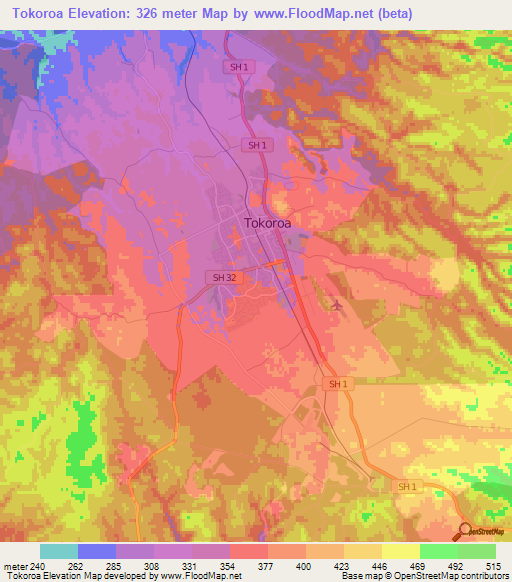 Tokoroa,New Zealand Elevation Map