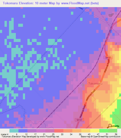 Tokomaru,New Zealand Elevation Map