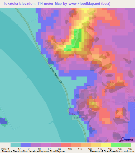 Tokatoka,New Zealand Elevation Map