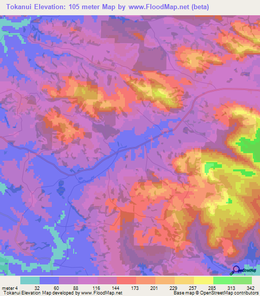 Tokanui,New Zealand Elevation Map