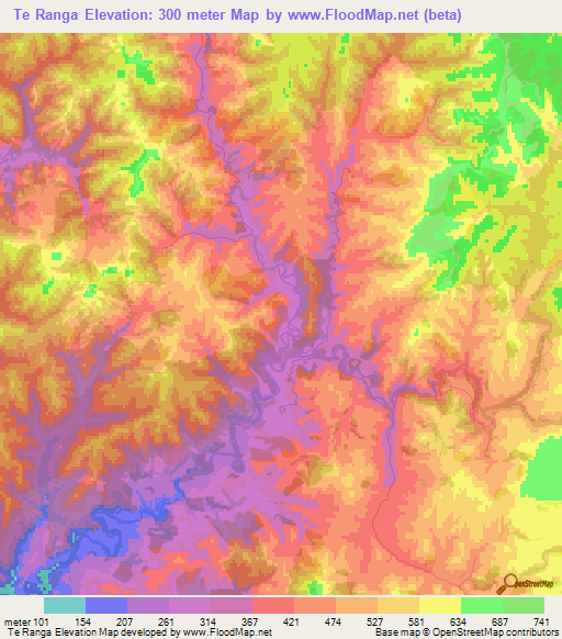 Te Ranga,New Zealand Elevation Map