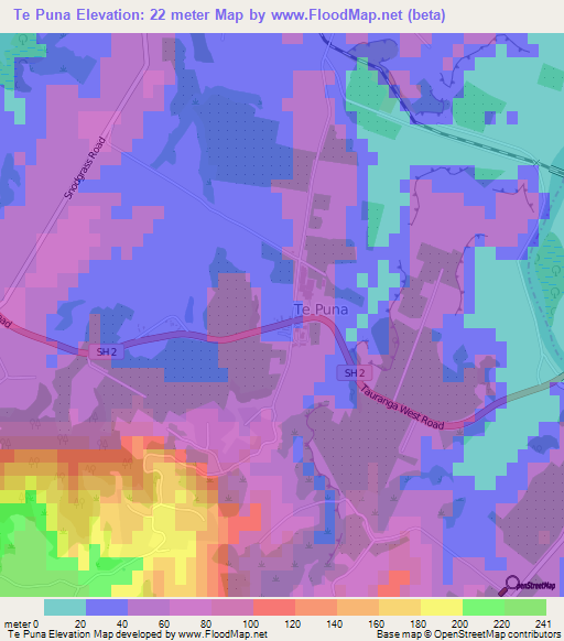 Te Puna,New Zealand Elevation Map